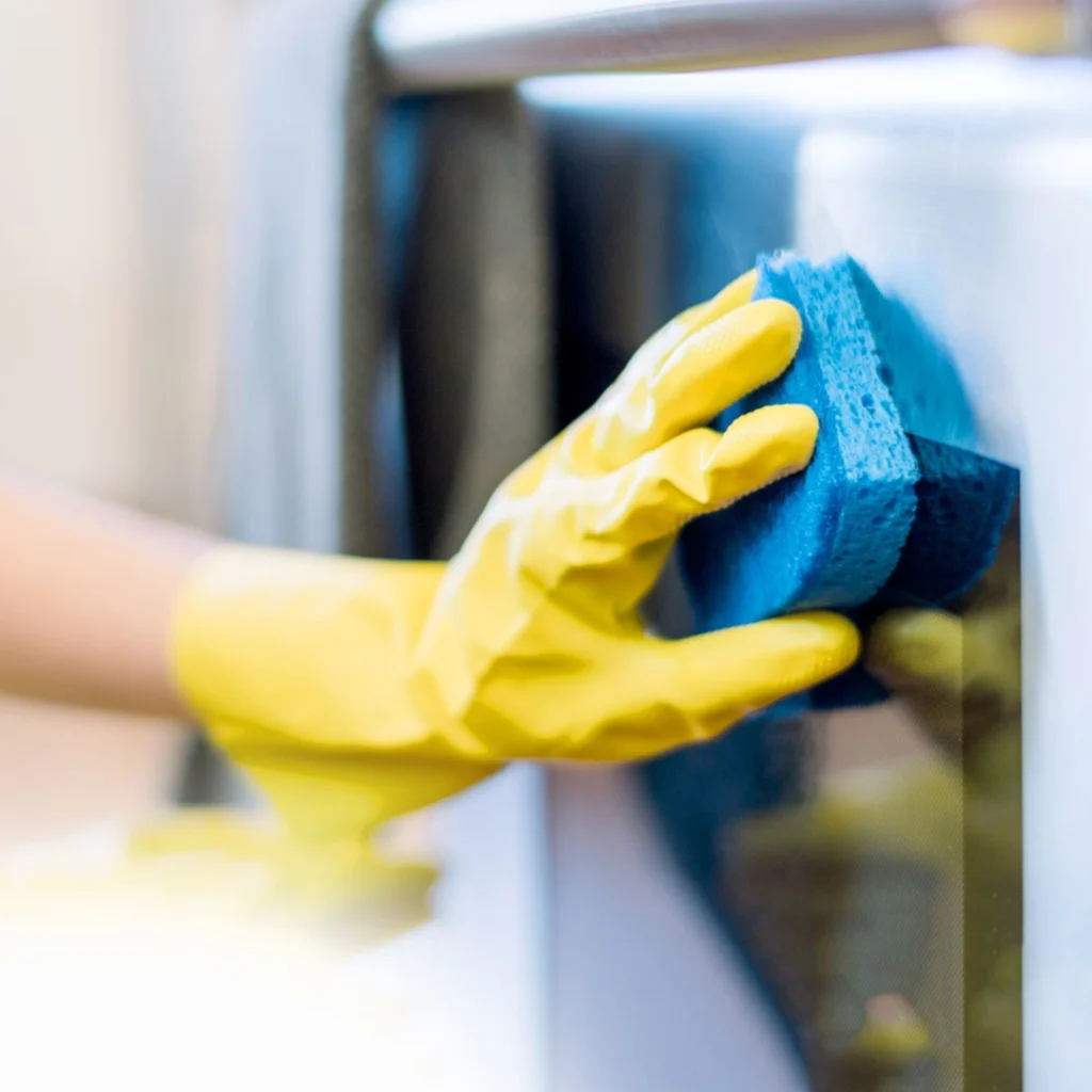 Over 55 Skills At Work - Home Support Services - Housekeeping, Companionship, House sitting, pet sitting and more